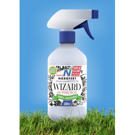 WIZARD 4