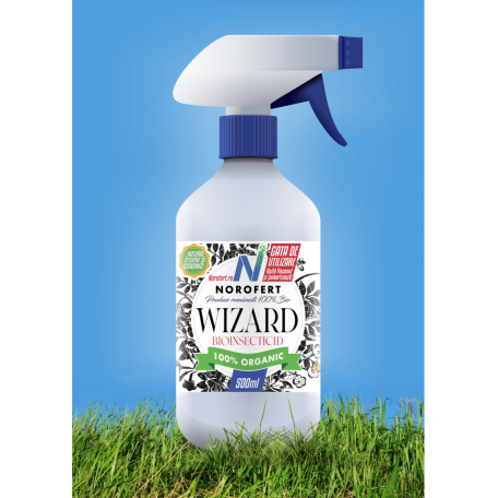 WIZARD 5